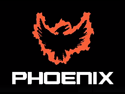 Phoenix VGS BIOS...