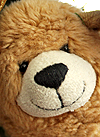 SM - Teddy - Mascot...